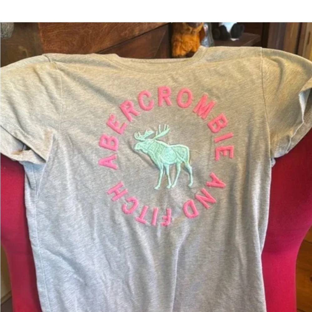 Abercrombie & Fitch Gray Tee with Pink and Mint Accents